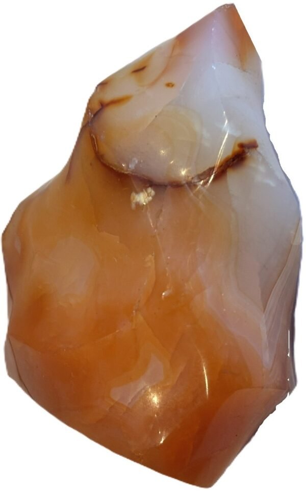 Carnelian flame 11 3 sians emporium Hand carved polished carnelian flame sculpture featuring twisting ridges with deep mahogany red burnt orange tones and smoky chalcedony patches isolated on a white background